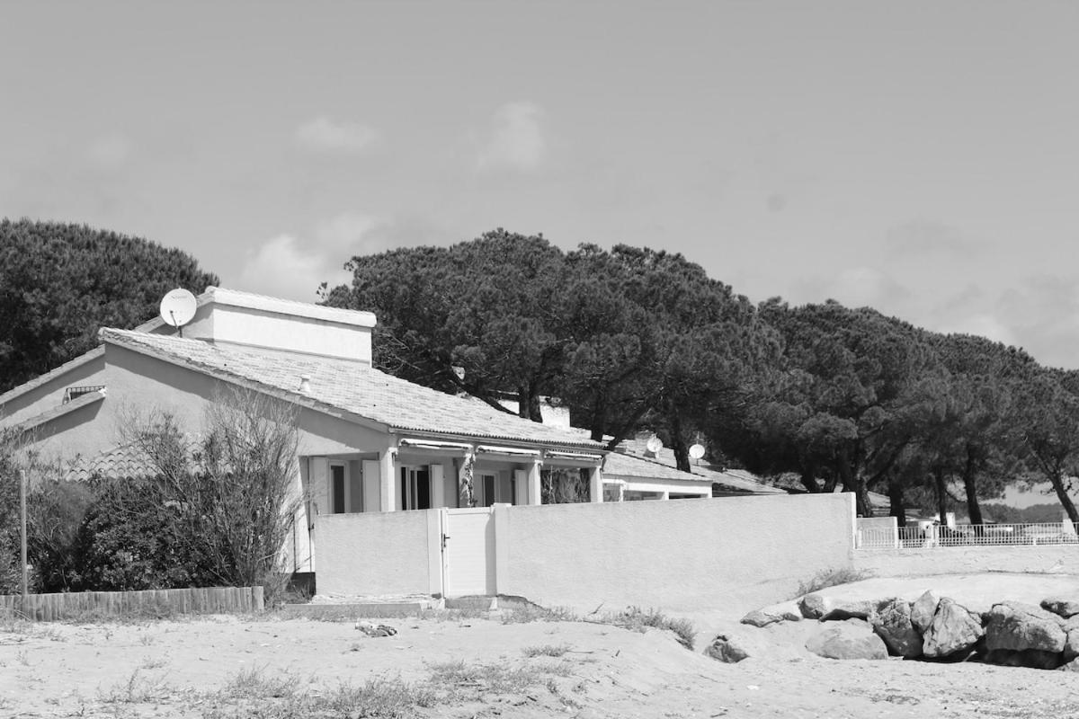 Bord de mer, pieds dans l'eau, vue panoramique Villa San-Nicolao Eksteriør billede