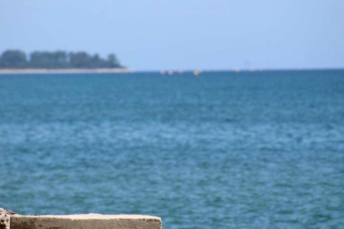 Bord de mer, pieds dans l'eau, vue panoramique Villa San-Nicolao Eksteriør billede