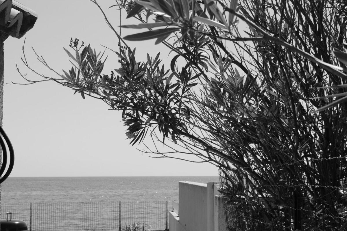 Bord de mer, pieds dans l'eau, vue panoramique Villa San-Nicolao Eksteriør billede