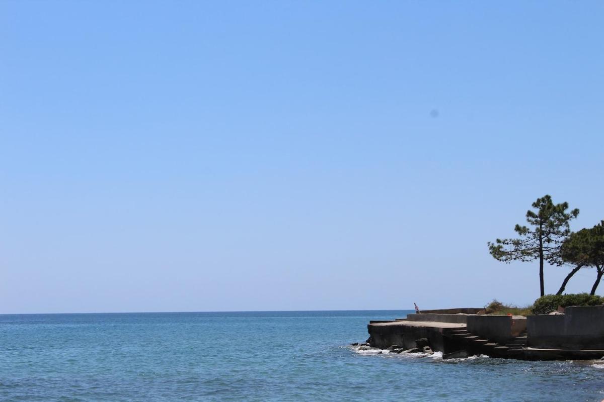 Bord de mer, pieds dans l'eau, vue panoramique Villa San-Nicolao Eksteriør billede